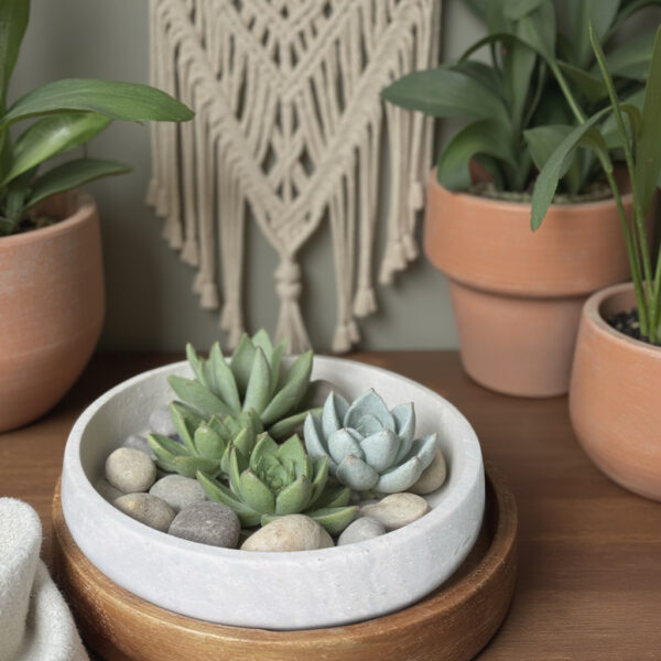 Large travertine centerpiece bowl with floating decorative elements and natural styling
